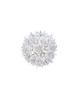 Bloom Applique Wall Lamp Transparent