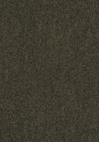 SmartStrand Lounge Carpet ZEO493