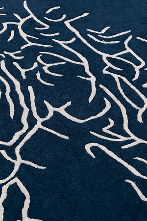 Toulemonde Bochart Nature Bleu carpet