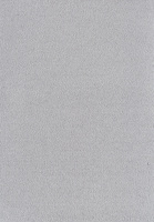 SmartStrand Sofia SOK carpeting.0870