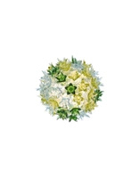 Bloom Applique Wall Lamp Mint