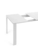 Four Extendable 160-170x90 cm Extendable Table White