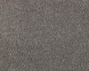 SmartStrand Boheme UYO carpeting.0420