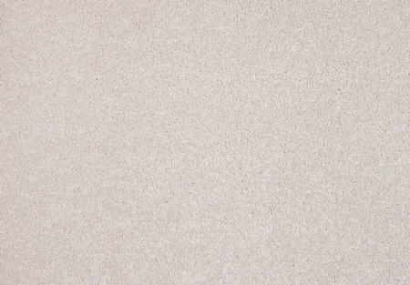 SmartStrand Lounge Carpet ZEO890