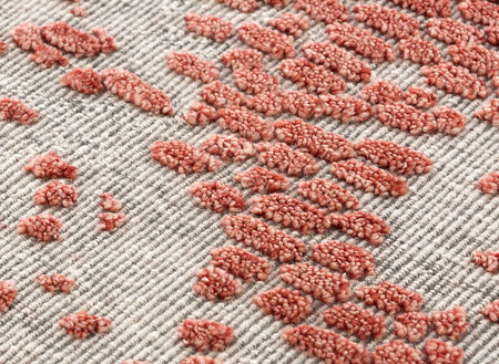 Gan Japan Coral rug