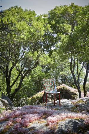 H.H.H. Mustard Chair