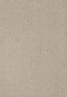 SmartStrand Dream UIO carpet.0251