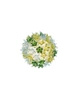 Bloom Applique Wall Lamp Mint