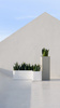Gandiablasco Sonora 1 flowerpot