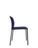 Audrey Soft Chair Black Navy Blue