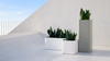 Gandiablasco Sonora 1 flowerpot