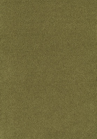 SmartStrand Sofia SOK carpeting.0500