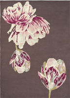 Ted Baker Tranquility Aubergine rug 56005