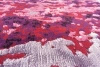 Serge Lesage Earth Cardinal Red rug