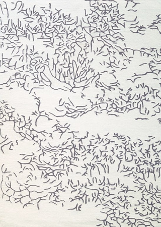 Dywan Toulemonde Bochart Nature Négatif