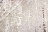 Rezas Temptation rug 7651