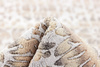 Rezas Shangri La Seascape Carpet 7031