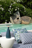 Camomille Metal Lamp Titanium