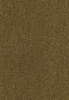 SmartStrand Lounge Carpet ZEO384