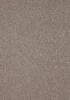 SmartStrand Lounge Carpet ZEO460