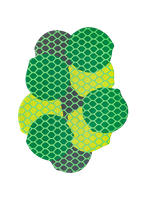 Dywan Gan Citrus Lime