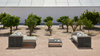 Gandiablasco DNA Sectional 1 Modular Sofa