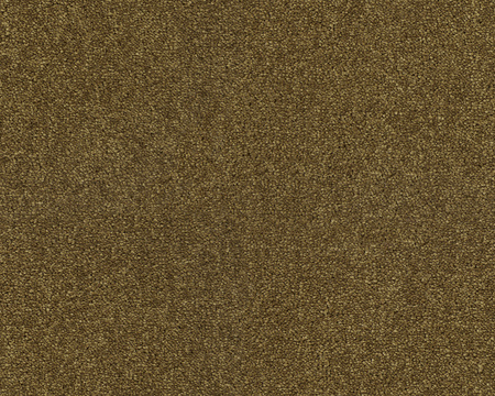 SmartStrand Lounge Carpet ZEO384