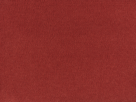SmartStrand Sofia SOK carpeting.0120