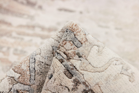 Rezas Temptation rug 7651
