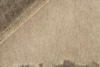 Reza's New Age Runway Rug Beige