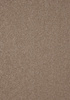 SmartStrand Lounge Carpet ZEO430