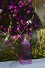 Lantern Table Lamp Purple