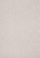 SmartStrand Lounge Carpet ZEO890