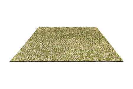 Sanderson Truffle Olive rug 446007