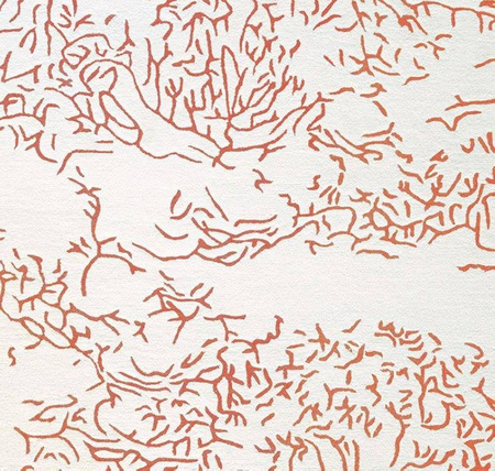 Toulemonde Bochart Nature Corail Carpet