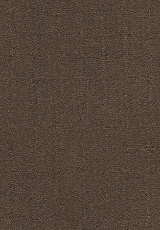 SmartStrand Dream UIO carpet.0413