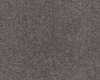 SmartStrand Lounge Carpet ZEO834
