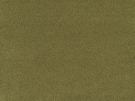 SmartStrand Sofia SOK carpeting.0500