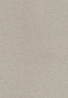 SmartStrand Lounge Carpet ZEO444