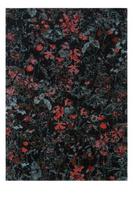 Dywan Carpet Decor Secret Black