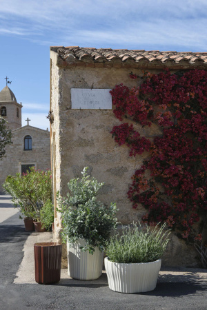 Corteza Donica Fioletowy