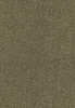 SmartStrand Lounge Carpet ZEO484