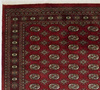 Wool Carpet Pakistan Bukhara Red 53528 203 x 292