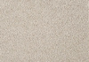SmartStrand Lounge Carpet ZEO451