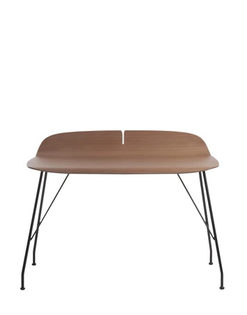 Earl Of Wood 119x65 cm Desk Dark Wood Black