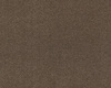 SmartStrand Celeste URO carpeting.0211