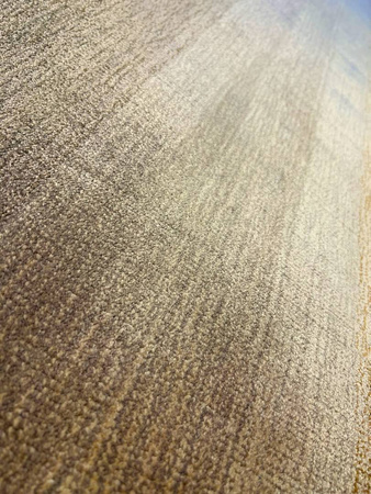 Carpet Decor Sunset Taupe carpet