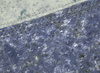 Gan Nuances Round Naiad Carpet