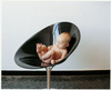 Ero|s| Armchair Transparent