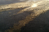 Serge Lesage Fire Blazing Tone Carpet